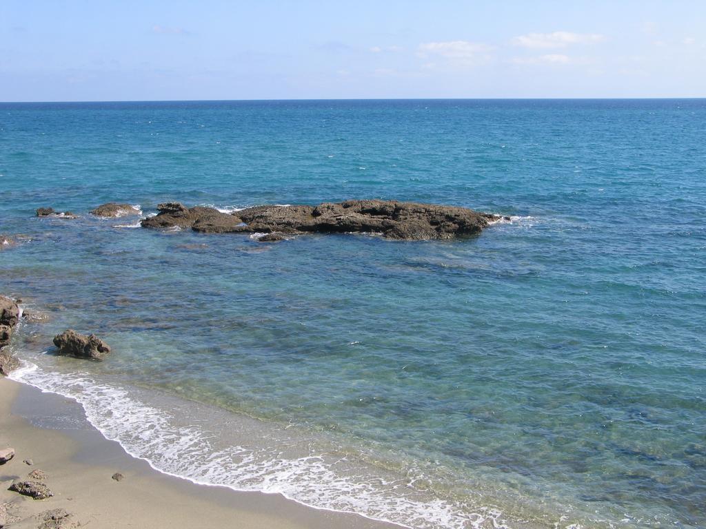 Le Clos Des Arbousiers Linguizzetta Екстериор снимка